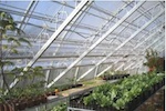 Natural Innovation.org